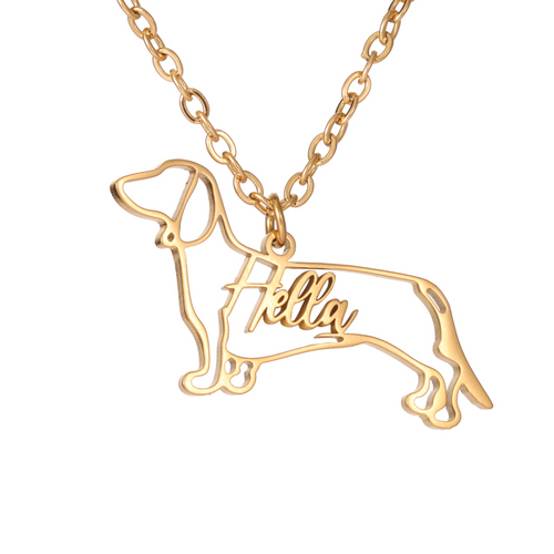Collar Personalizado con Silueta de Mascota y Nombre
