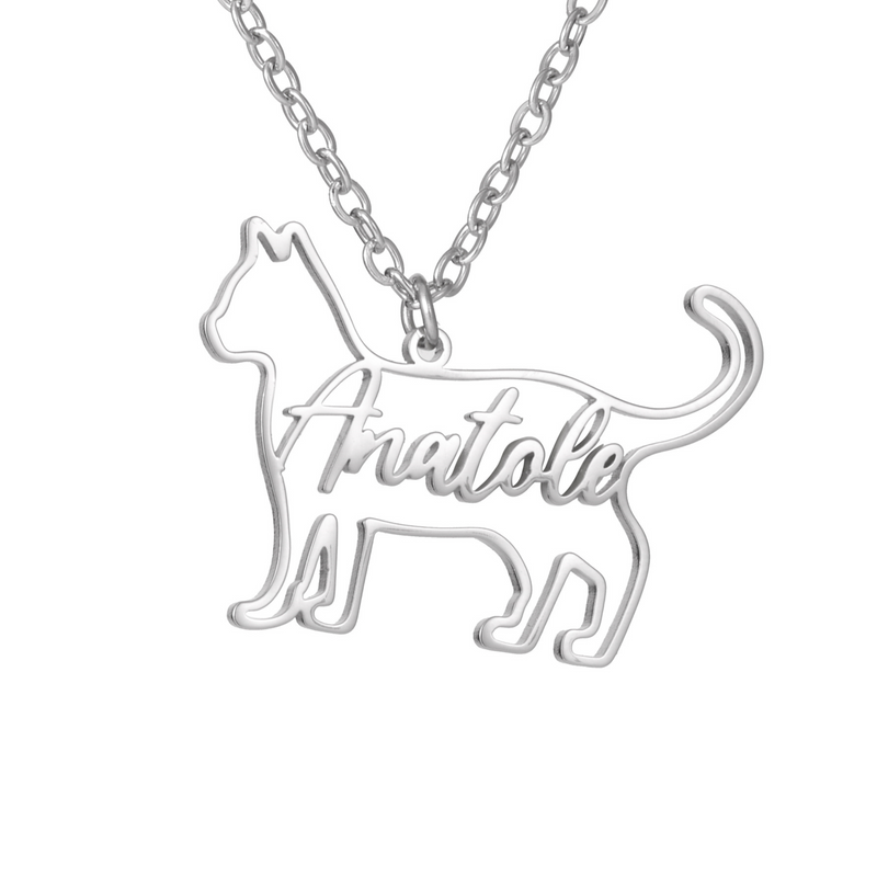 Collar Personalizado con Silueta de Mascota y Nombre