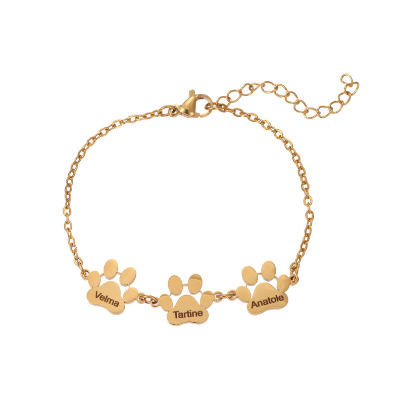 Pulsera con Huella y Nombre de Mascota